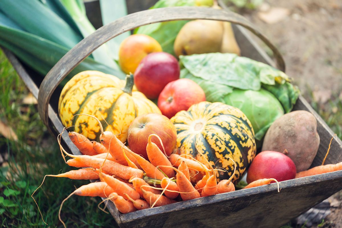 Basket of fresh organic vegetables (Getty Images/Tatiana Krakowiak)