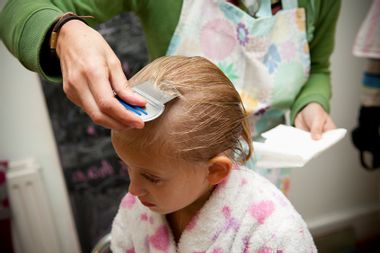 Small girl having a lice nit treatment