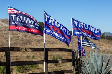 "Trump 2020" flags